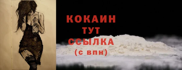 apvp Михайлов