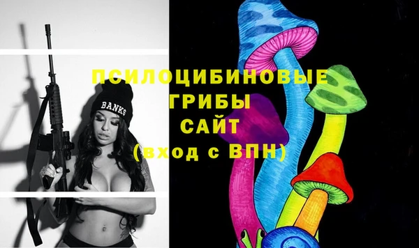 apvp Михайлов