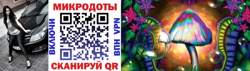 блэк спрут как войти  Поворино  Галлюциногенные грибы Psilocybe 