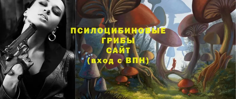 Псилоцибиновые грибы Psilocybe  hydra ссылки  Поворино 